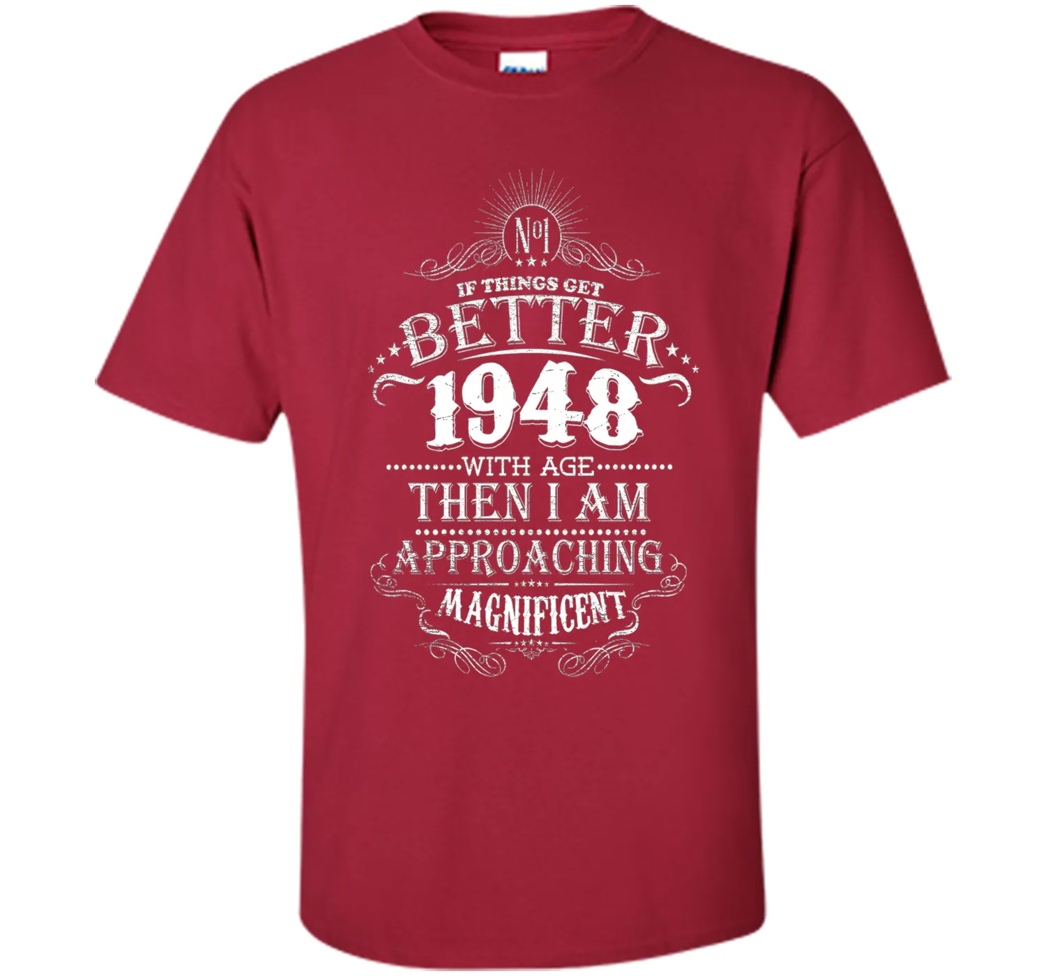 69 Years Old 1948 Vintage Awesome T-Shirt Gift Birthday
